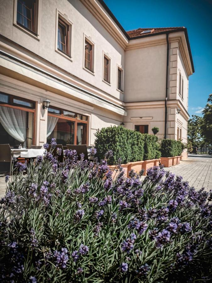 Restaurant Pansion Wien Cierny Brod Exteriér fotografie