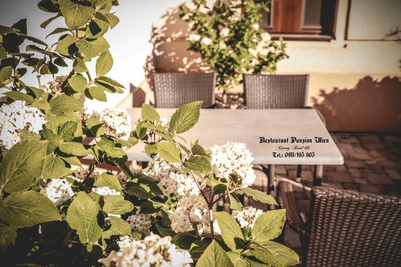 Restaurant Pansion Wien Cierny Brod Exteriér fotografie
